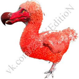 ALFA-DODO.png