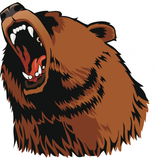 1674155346_papik-pro-p-medved-zloi-risunok-31.png