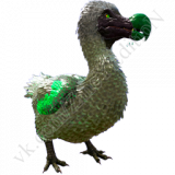 Toxic-DODO-ABBERANTNYI