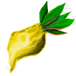 Electric-Fruit.png