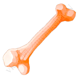 Primal-Bones.png