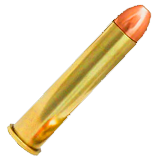 ammo4570.png