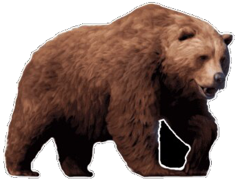 MEDVED1.png