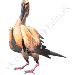 Elder-IKTIORNIS.png