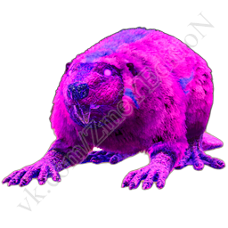 Mythic-Beaver.png