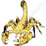 Legendary-Scorpion