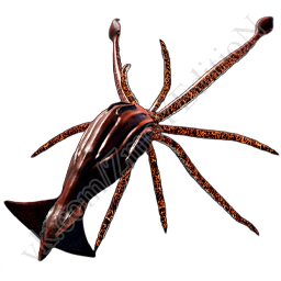 Volcanic-Tusoteuthis.png
