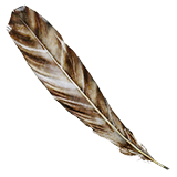 resourceFeather