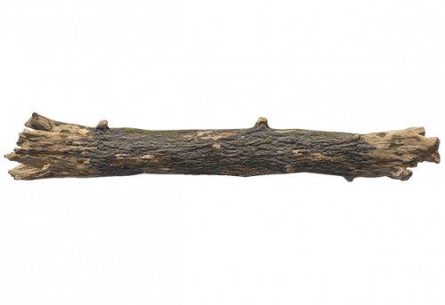 dead_log_c.png