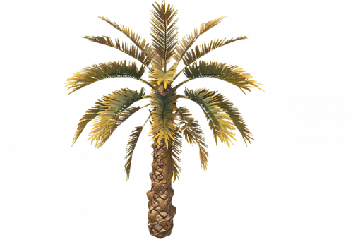 palm_tree_short_a_entity.png