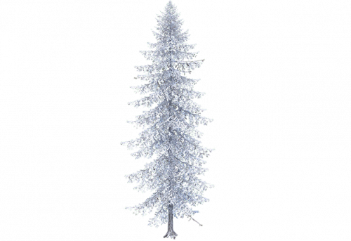 pine_a_snow.png