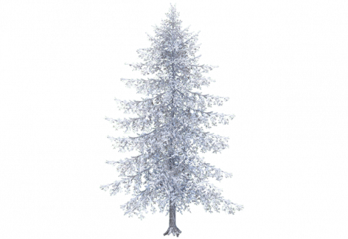 pine_d_snow.png
