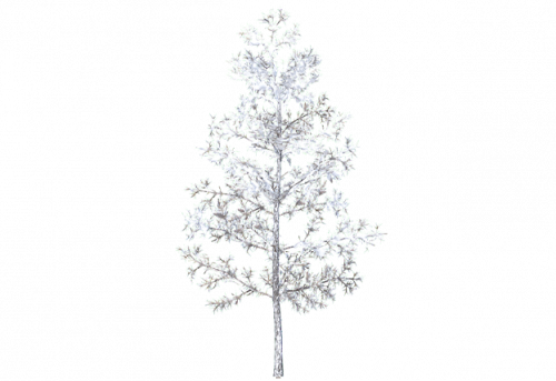 pine_sapling_b_snow.png