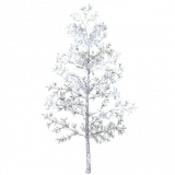 pine_sapling_b_snow