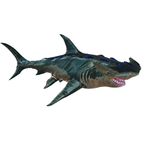 shark.png