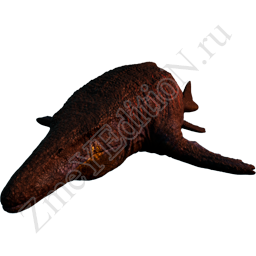 EVO-Paleo-Mosa.png
