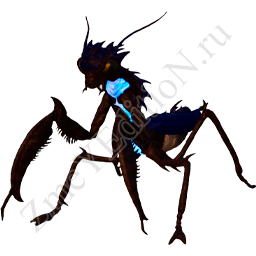 S-Mantis.png