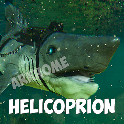 helicoprion.jpg