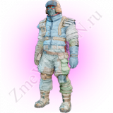 NABOR-ARKTICESKOI-BRONI-FIOL