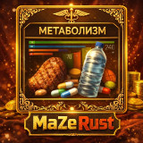 METABOLIZM