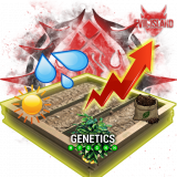 KASTOMNAY-GRYDKA-MAGAZ