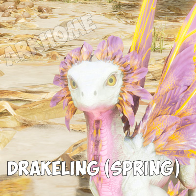 Drakeling-Spring.jpg