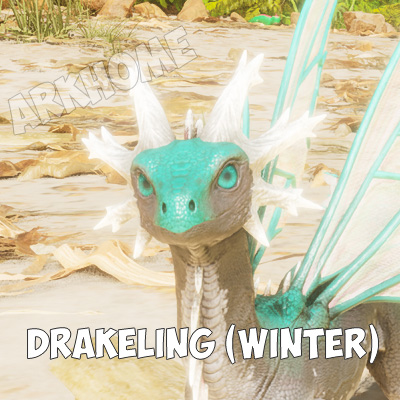 Drakeling-Winter.jpg