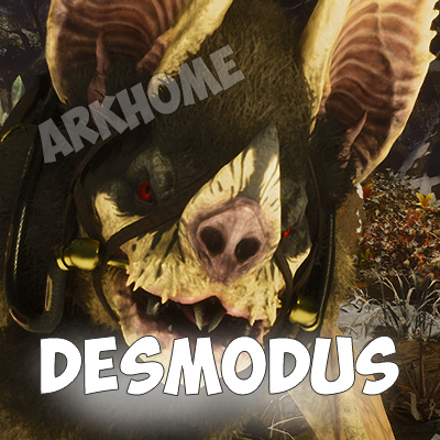 Desmodus.jpg