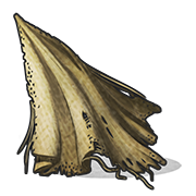TKAN.png